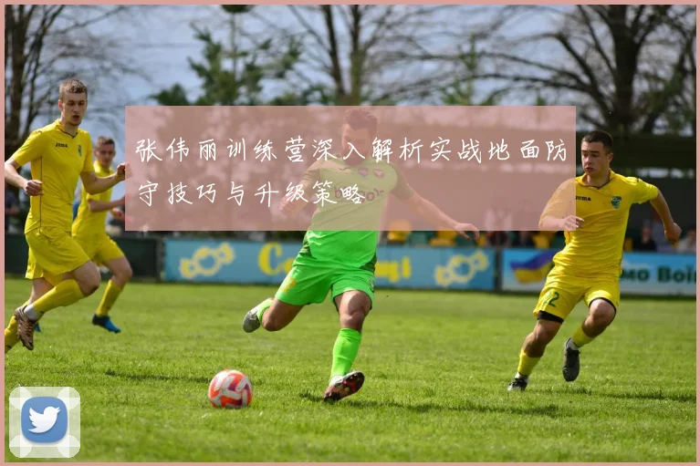 张伟丽训练营深入解析实战地面防守技巧与升级策略